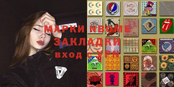 прущие грибы Балабаново