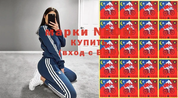 прущие грибы Балабаново