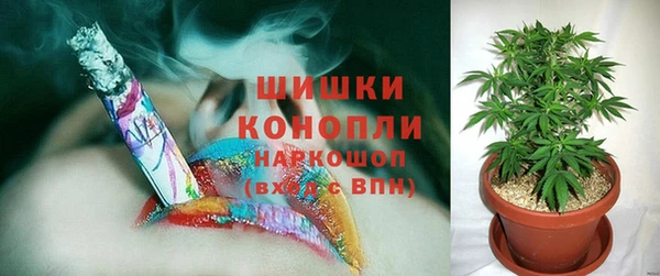 прущие грибы Балабаново